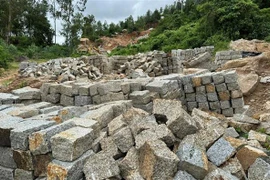 (Ảnh minh họa: TTXVN phát)