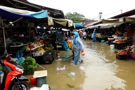 (Ảnh minh họa: Trịnh Bang Nhiệm/TTXVN)