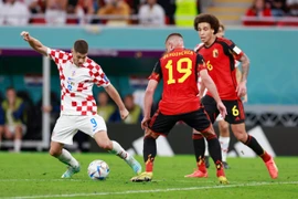 (Ảnh: Hải An/TTXVN)