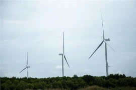 Indonesia và Việt Nam có nhiều tiềm năng hợp tác trong lĩnh vực thủy sản và năng lượng tái tạo. (Ảnh: Hồng Đạt/TTXVN)