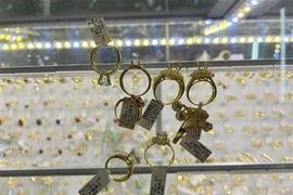 Ảnh minh họa. (Nguồn: TTXVN phát)