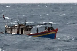 (Ảnh minh họa: Minh Huệ/TTXVN)