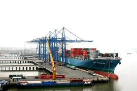 Tàu vào bốc dỡ hàng hóa tại Cảng Cái Mép-Thị Vải, tỉnh Bà Rịa-Vũng Tàu. (Ảnh: Hoàng Nhị/TTXVN)