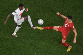 Pha tranh bóng quyết liệt giữa tiền vệ Edmilson Fernandes (trái) của Thuỵ Sĩ với Sasa Lukic của Serbia. (Ảnh: AFP/TTXVN)