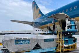 Vietnam Airlines miễn phí vận chuyển vaccine và vậ tư tiêm chủng COVID-19. (Ảnh: CTV/Vietnam+)