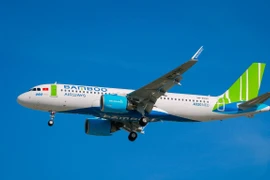 Máy bay của hãng hàng không Bamboo Airways. (Ảnh: CTV/Vietnam+)