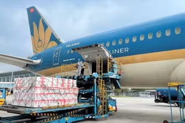 Máy bay của hãng hàng không Vietnam Airline vận chuyển hàng hóa sang các nước châu Âu. (Ảnh: CTV/Vietnam+)