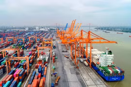 Các hãng tàu phải công khai cước, phụ thu vận tải container tại Việt Nam. (Ảnh: CTV/Vietnam+)