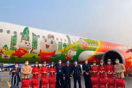 Máy bay Amy của Vietjet đã tiếp tục thực hiện hành trình đặc biệt đưa đoàn công tác tới New Delhi, Ấn Độ. (Ảnh: CTV/Vietnam+)