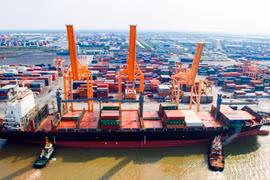 Bốc xếp hàng hóa container tại cảng biển Hải Phòng. (Ảnh: CTV/Vietnam+)