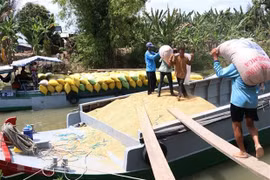 Việc quản lý và cho phép các hoạt động ghe thuyền nhỏ đi trong kênh rạch, tuyến thủy lợi nội đồng là thuộc về thẩm quyền của địa phương. (Ảnh: TTXVN)