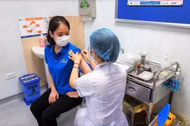 Vietnam Airlines là hãng bay đầu tiên tiêm vaccine COVID-19 cho phi công, tiếp viên. (Ảnh: CTV/Vietnam+)