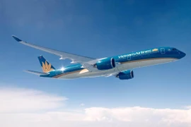 Tàu bay thân rộng thế hệ mới nhất của hãng hàng không Vietnam Airlines được sử dụng đường bay Hà Nội-Thành phố Hồ Chí Minh. (Ảnh: CTV/Vietnam+)