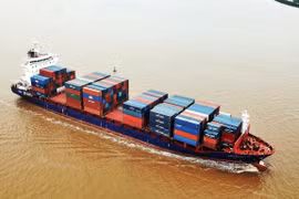 Tự tăng giá vận chuyển container hiện nay diễn ra trên toàn cầu. (Ảnh: CTV/Vietnam+)