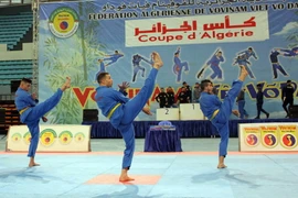 [Photo] Vòng chung kết Cúp Vovinam Việt Võ Đạo toàn Algeria