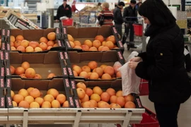 Ảnh minh họa. (Nguồn: THX/ TTXVN)