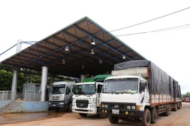 Xe hàng nhập khẩu qua cửa khẩu quốc tế Lao Bảo (Quảng Trị) chờ làm thủ tục kiểm tra. (Ảnh: Phạm Hậu/TTXVN)