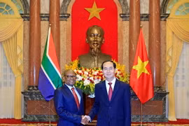 Chủ tịch nước Trần Đại Quang tiếp ngài Mpetjame Kgaogelo Lekgoro, Đại sứ Nam Phi tại Việt Nam đến trình Quốc thư. (Ảnh: Nhan Sáng/TTXVN)