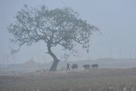 (Ảnh minh họa: Minh Đức/TTXVN)