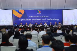 Các đại biểu phát biểu tại phiên thảo luận chuyên đề: “Ứng dụng công nghệ cao để thúc đẩy phát triển nông nghiệp khu vực GMS”. (Ảnh: TTXVN)