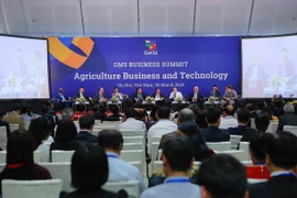 Các đại biểu phát biểu tại phiên thảo luận chuyên đề: “Ứng dụng công nghệ cao để thúc đẩy phát triển nông nghiệp khu vực GMS”. (Ảnh: TTXVN)