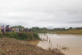 (Ảnh minh họa: Xuân Tiến/TTXVN)