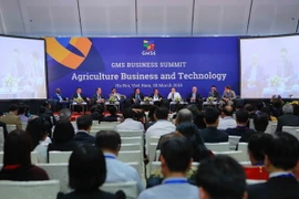 Các đại biểu phát biểu tại phiên thảo luận chuyên đề: “Ứng dụng công nghệ cao để thúc đẩy phát triển nông nghiệp khu vực GMS”. (Ảnh: TTXVN)