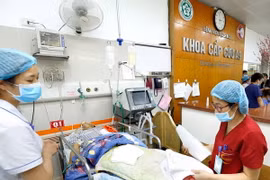 (Ảnh minh họa: Dương Ngọc/TTXVN)