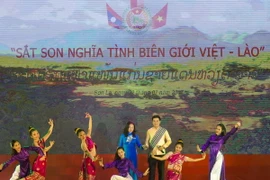 (Ảnh minh họa: Nguyễn Cường/TTXVN)