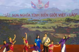 (Ảnh minh họa: Nguyễn Cường/TTXVN)