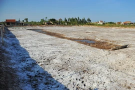 (Ảnh minh họa: Minh Đức/TTXVN)