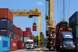 (Ảnh minh họa: Trần Lê Lâm/TTXVN)