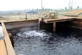 (Ảnh minh họa: Trần Việt/TTXVN)