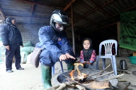 (Ảnh minh họa: Phan Tuấn Anh/TTXVN)