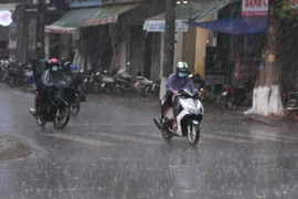 (Ảnh minh họa: Phạm Cường/TTXVN)