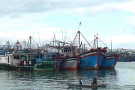 (Ảnh minh họa: Nguyên Lý/TTXVN)