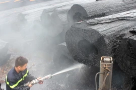 (Ảnh minh họa: Tá Chuyên/TTXVN)