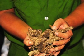 Bắt giữ 70 tấn nguyên liệu thuốc bắc nghi gian lận thương mại