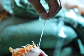 [Video] Clip mực khô nghi chứa cao su non xuất hiện tại Hà Nội