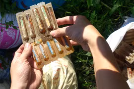 Một công ty dược đổ lén hàng chục bao tải thuốc hỏng ra đồng hoang
