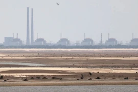 Nhà máy điện hạt nhân Zaporozhye trong một bức ảnh chụp hồi tháng Bảy năm ngoái. (Nguồn: AFP/France 24)