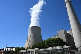 Đa số người Đức phản đối việc từ bỏ năng lượng hạt nhân. (Ảnh: AFP/TTXVN)