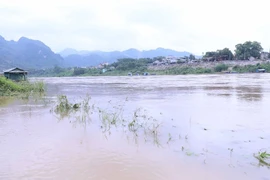 Sông Lô. (Ảnh: Quang Cường/TTXVN)