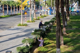 Công nhân chăm sóc, cắt tỉa cây xanh ở thành phố Phan Rang-Tháp Chàm (Ninh Thuận). (Ảnh: Nguyễn Thành/TTXVN)