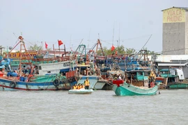 Nơi neo đậu tàu thuyền tại cửa biển Rạch Gốc, Ngọc Hiển (Cà Mau). (Ảnh: Huỳnh Anh/TTXVN