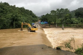 Ảnh minh họa. (Ảnh: TTXVN phát)