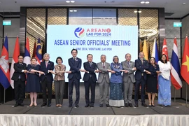 Thứ trưởng Ngoại giao, Trưởng SOM ASEAN Việt Nam Đỗ Hùng Việt tham dự Hội nghị Quan chức Cao cấp (SOM) ASEAN. (Ảnh: TTXVN phát)