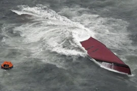 Ảnh minh họa. (Ảnh: AP/TTXVN)