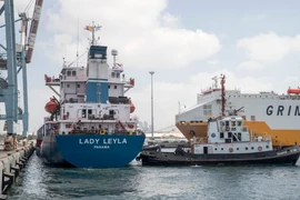 Một tàu chở hàng viện trợ tại cảng Ashdod, miền Nam Israel. (Ảnh: AFP/TTXVN)