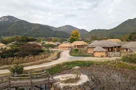 Một ngôi làng ở Jeolla (Hàn Quốc). (Nguồn: CNA)